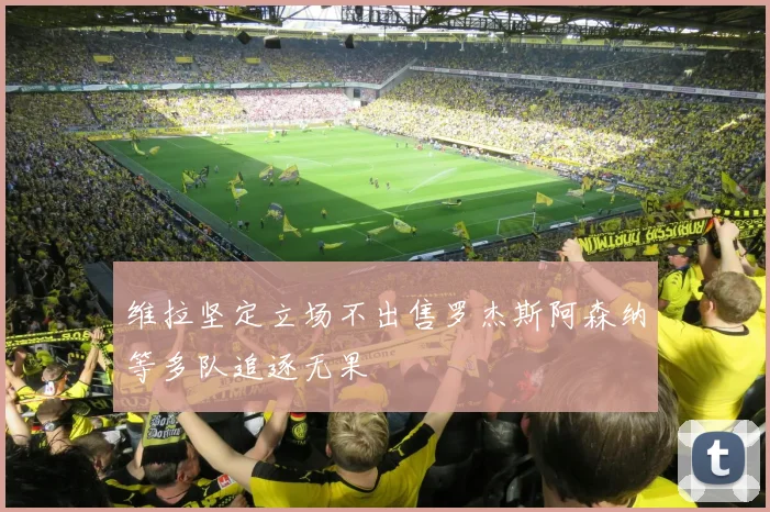 维拉坚定立场不出售罗杰斯阿森纳等多队追逐无果